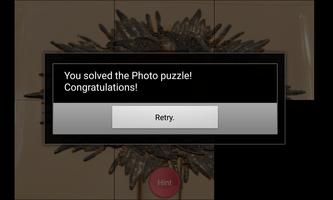 Picture Puzzle تصوير الشاشة 3