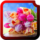 Tulips HD Wallpapers आइकन