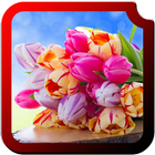 Tulips HD Wallpapers ikon