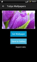 Tulips HD Wallpapers تصوير الشاشة 2