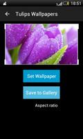 Тюльпаны Обои скриншот 2