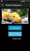 Reptiles HD  Wallpapers capture d'écran 1