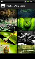 Reptiles HD  Wallpapers capture d'écran 2