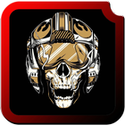 Skulls HD Wallpapers icon
