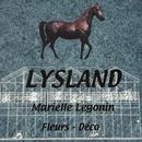 Lysland Fleurs APK