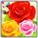 Bubble Rose APK