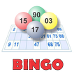 Bingo Familiar