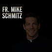 Fr. Mike Schmitz Audio Teachings