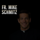 Fr. Mike Schmitz icon