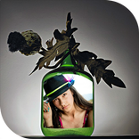 Wine Bottle Photo Frames