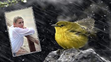 Rainy Photo Frames imagem de tela 2