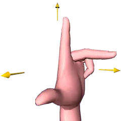 Fleming's Left Hand Rule 3D