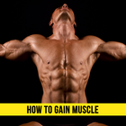 How to Gain Muscle icône