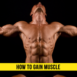 How to Gain Muscle