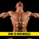 How to Gain Muscle APK