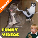 Funny Videos 2018 APK