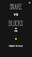 Snake VS Blocks Plakat