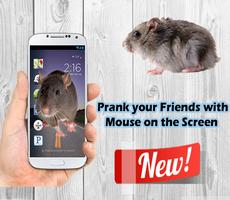 Mouse Prank poster