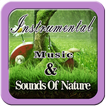 Relaxing Instrumental Music & Sounds Of Natur mp3