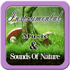 Relaxing Instrumental Music & Sounds Of Natur mp3 آئیکن