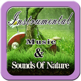 Relaxing Instrumental Music & Sounds Of Natur mp3 icône