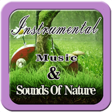 Relaxing Instrumental Music & Sounds Of Natur mp3 ícone