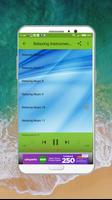 Relaxing Instrumental Music & Sounds Of Natur mp3 capture d'écran 2