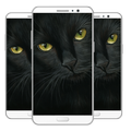 Black Wallpaper HD New