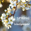 Spring Wallpaper