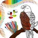 Hunted Page Book:Coloring Game APK