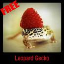 Leopard Gecko APK