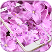 Lilac lavender dewdrop theme