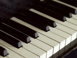 Piano lessons স্ক্রিনশট 1