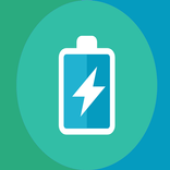 X2 Fast Battery Charger