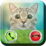 Talking Cat Calling иконка