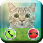 ikon Talking Cat Calling