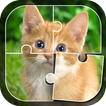 Learn Animals - Puzzle Game
