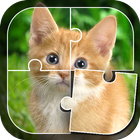 Learn Animals - Puzzle Game icône