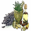 Herbal Prescriptions+ APK