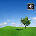 HD Wallpapers for Lenovo 图标
