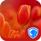 AppLock Theme - Tulip Theme icône