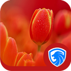 AppLock Theme - Tulip Theme Zeichen