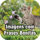 Imagens com Frases Bonitas icône