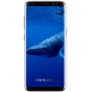 Baleine bleue APK
