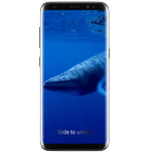 Baleine bleue icône