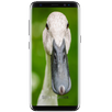 Duck Life APK