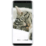 Nice Cats