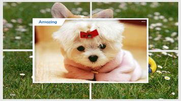 برنامه‌نما Puppy Wallpaper عکس از صفحه