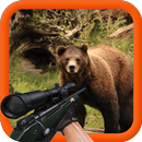 Bear Hunting 3D APK