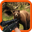 APK Bear Hunting 3D